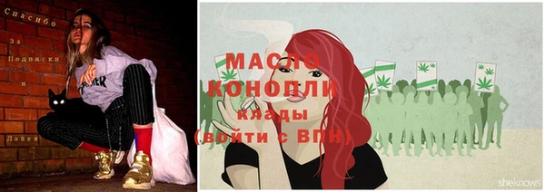 мдпв Новозыбков