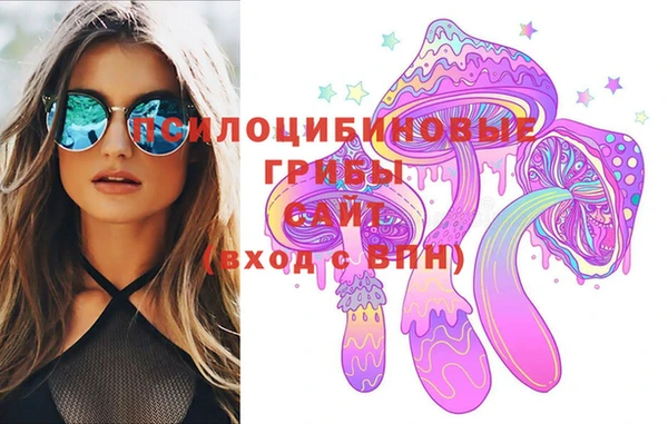 первитин Новодвинск