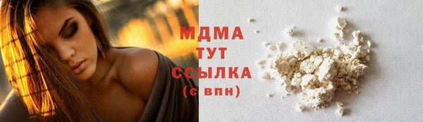 гашик Бикин