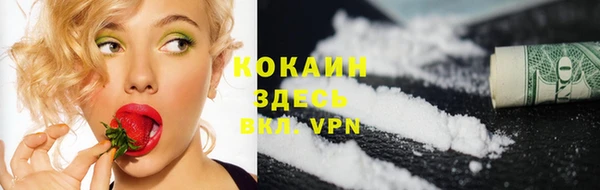 первитин Новодвинск