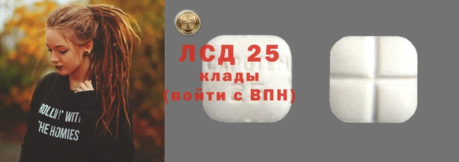 мдпв Новозыбков