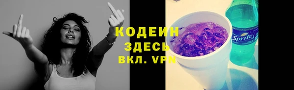 гашик Бикин
