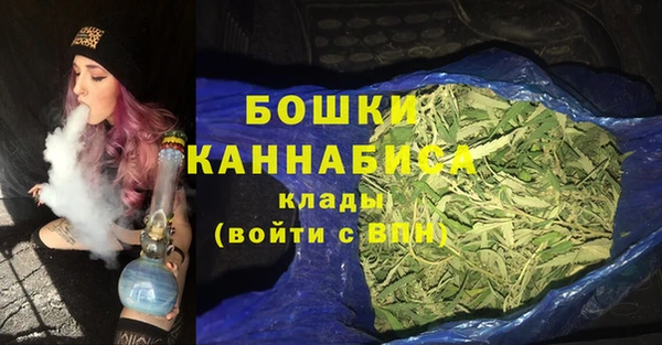 мдпв Новозыбков