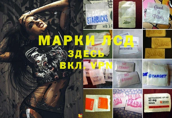 мдпв Новозыбков