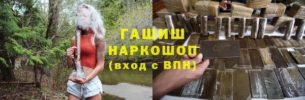 мдпв Новозыбков