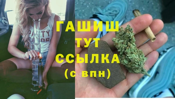первитин Новодвинск